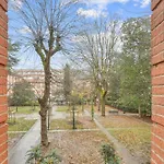 Spacieux Appartement Hyper Centre Capitole 3Pers Wifi